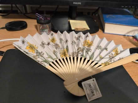 Photo of free Paper Hand fan. (Alperton HA0) #1