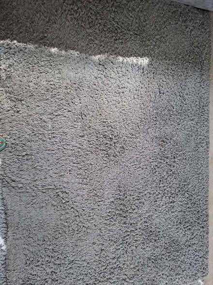 Photo of free Large Rug (Hatfield AL10) #1