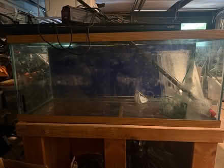 Photo of free Large fish tank on wooden stand (Westchester) #1
