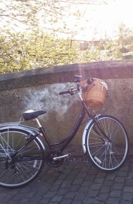Photo of free Wicker basket for bike (Archway N19) #4