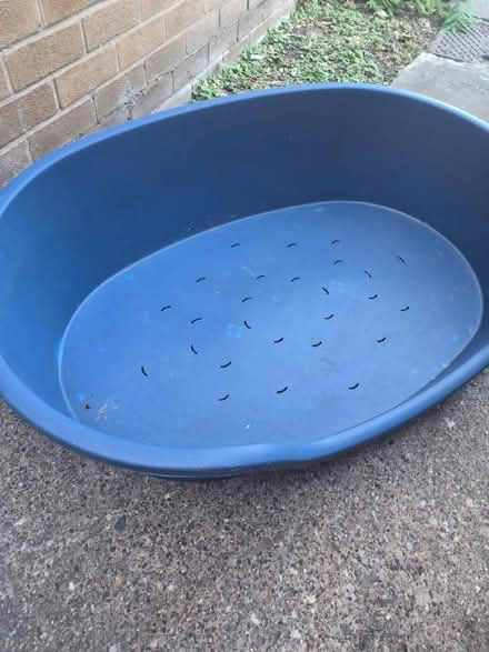 Photo of free large plastic dog bed (Netherfield NG4) #2