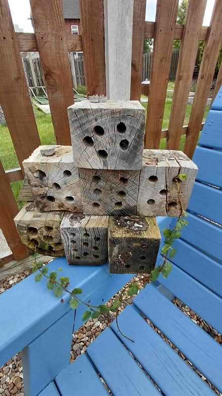 Photo of free Bug hotel (Sheffield S12) #1