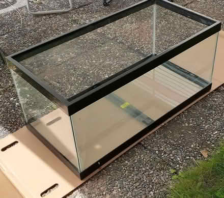 Photo of free Aquarium (Kanata) #1