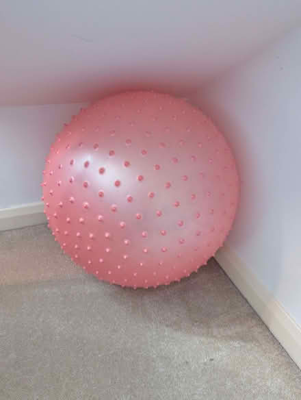 Photo of free large (50cm diameter) knobbly ball (Berkhamsted HP4) #1