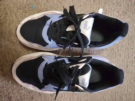 Photo of free Puma trainers size UK4 (EU 37) (Donnington OX4) #1