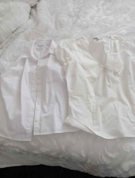 Photo of free Blouses (Maidstone ME17) #1