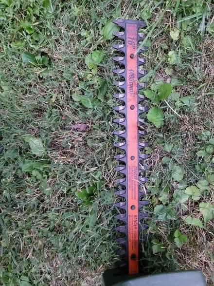 Photo of free Hedge Trimmer (East Side Near Police Station) #3