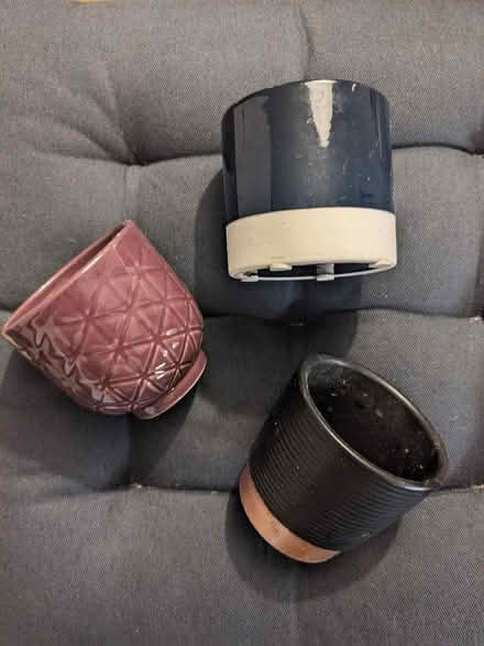 Photo of free Sapling pots (islington N1) #1
