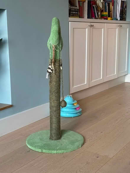 Photo of free Cat tree (Maitland Court W2) #1