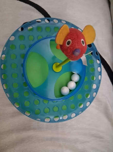 Photo of free Cat Toy (West Harlem, near Harlem Hosp) #1