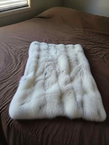 Photo of free Small toddler blanket (Bishopsgate E1) #1