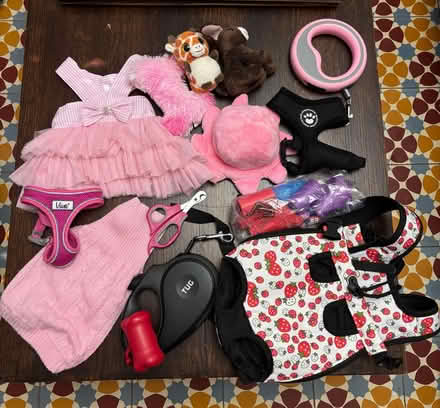 Photo of free Chihuahua bits and pieces (Stroud GL5) #1