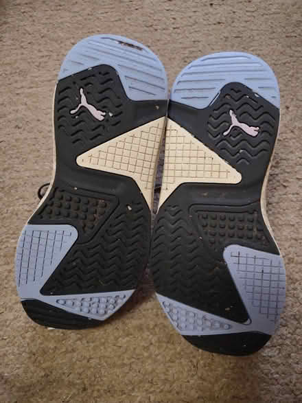 Photo of free Puma trainers size UK4 (EU 37) (Donnington OX4) #2