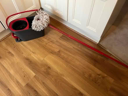 Photo of free Vileda mop and bucket (Keighley BD20) #1