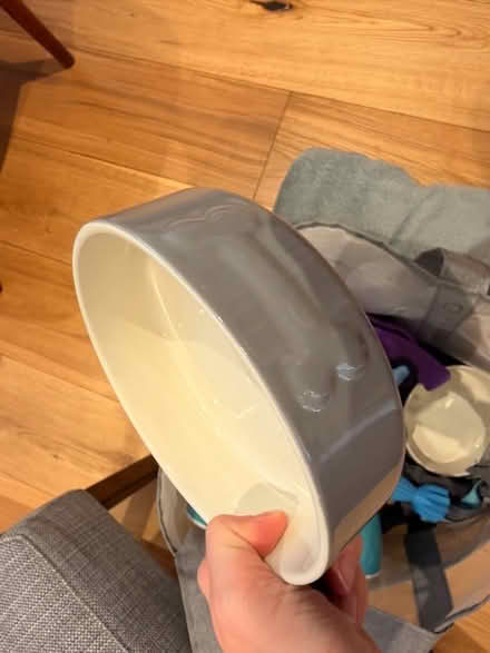 Photo of free Dog bowls, toys, blanket, walking lead (Highbury N5) #2