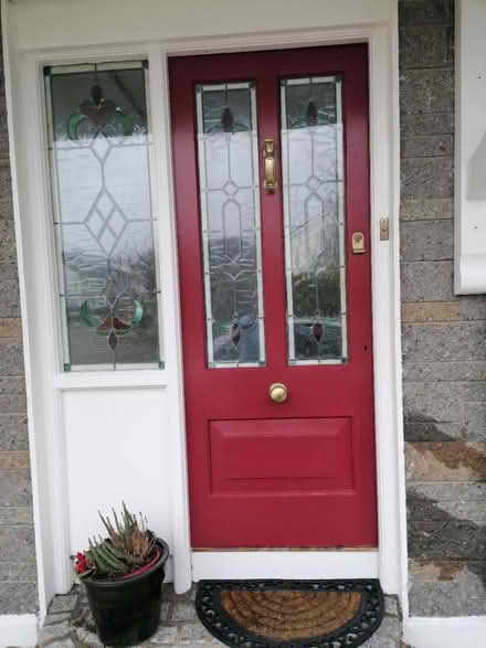 Photo of free Hall door & side panel (South side Dublin) #1