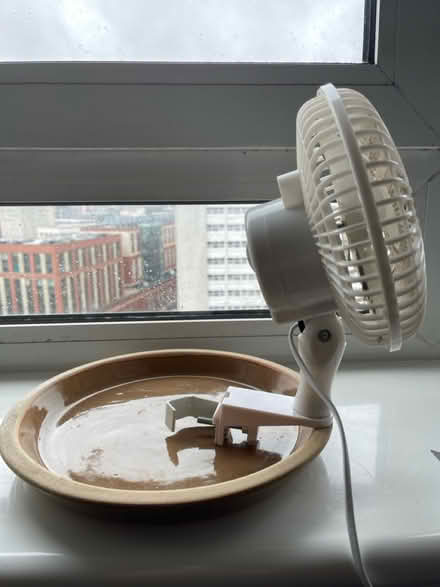Photo of free Fan (Next to Necropolis) #2