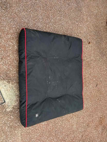 Photo of free Dog bed (lodgemoor S10) #1