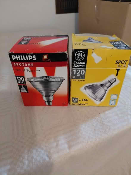 Photo of free 2 x 120 watt screw spot bulbs (West Marina TN38) #1