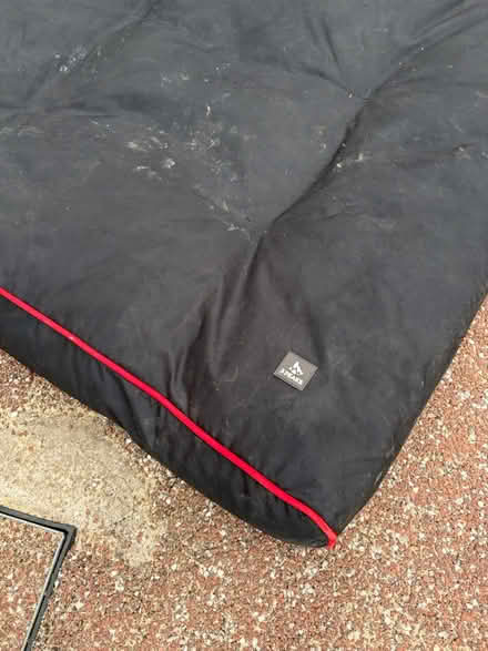 Photo of free Dog bed (lodgemoor S10) #2