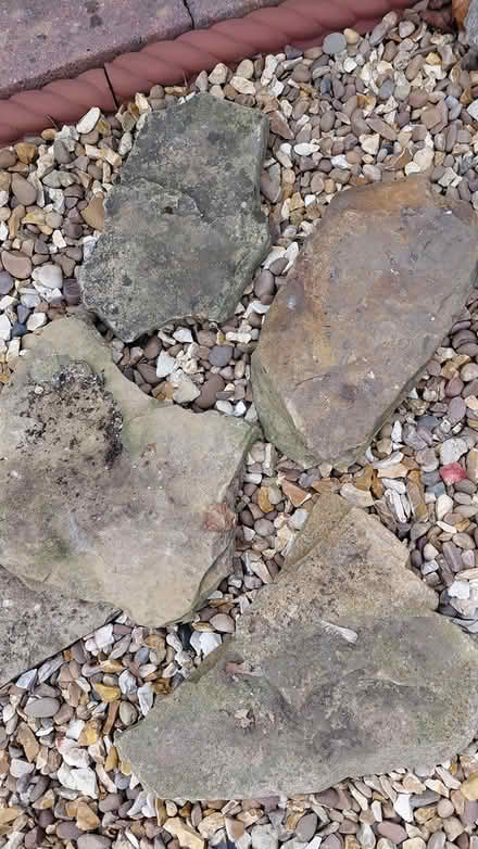 Photo of free Large rockery rocks (Sheffield S12) #2