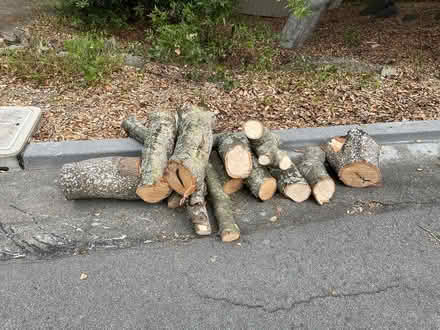 Photo of free Oak logs for firewood (Tiburon - near Corte Madera) #1