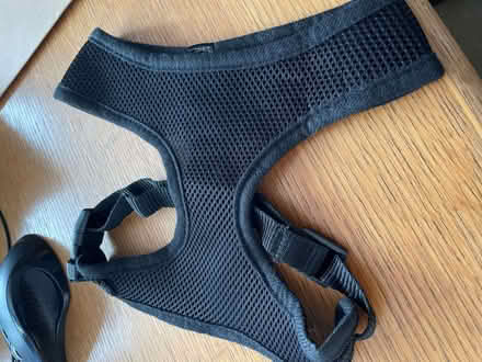 Photo of free Dog Harness (Edge Green WA3) #1