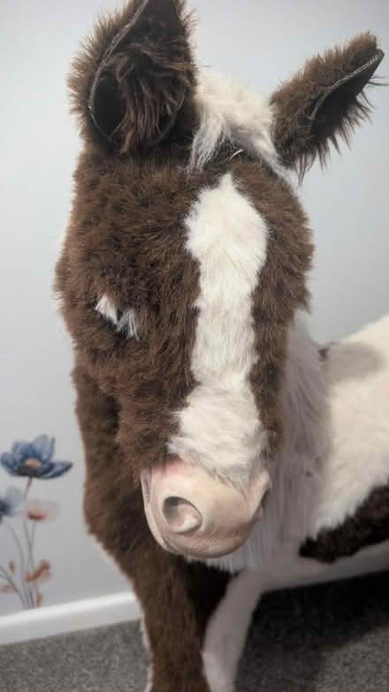 Photo of free Toy horse (Oakengates TF2) #4