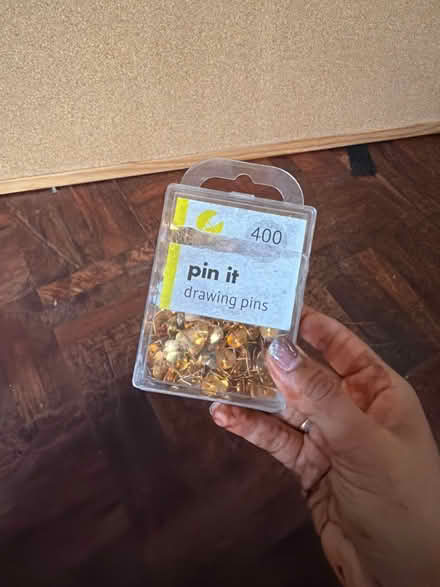 Photo of free Cork board + pins (North Road, Islington (N7 9)) #2