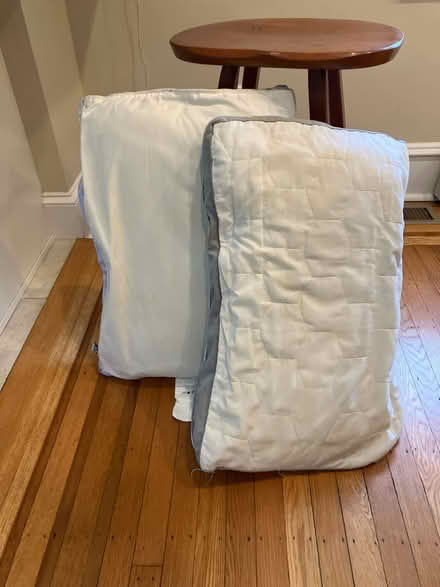Photo of free Two very firm pillows (Havertown) #1