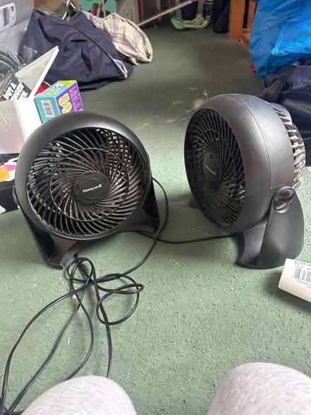 Photo of free 2 fans (North Wall) #1
