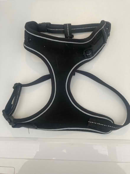 Photo of free 3 x Dog harnesses (Harrogate HG1) #1