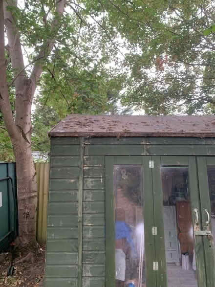 Photo of free Shed/Summerhouse (Cambridge CB1) #1