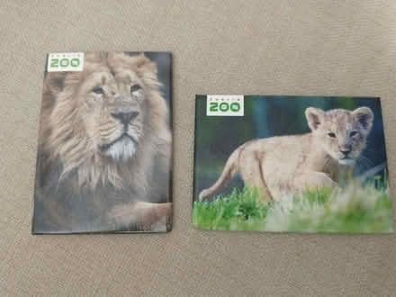 Photo of free Lion fridge magnets (Drum Brae EH4) #1