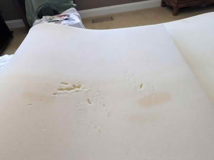 Photo of free memory foam mattress topper (San Carlos Flats) #3