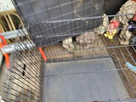 Photo of free Large dog crate (Bletchingley RH1) #1