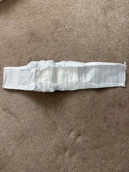 Photo of free Dog incontinence pads (East Kilbride G74) #2
