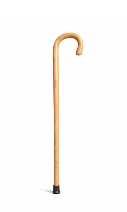 Photo of Walking Stick (Southmead BS7) #1