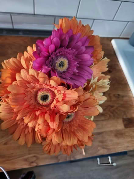 Photo of free Fake gerberas (Freehold LA1) #1