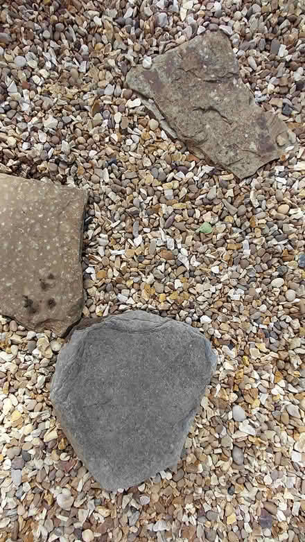 Photo of free Large flat stones x 10 (Sheffield S12) #3