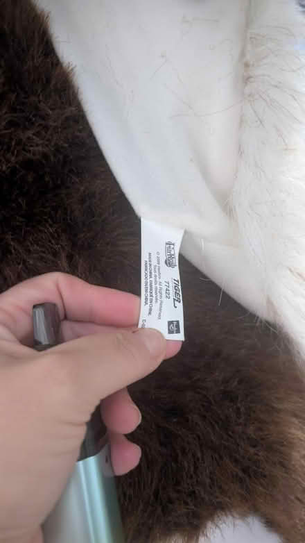 Photo of free Toy horse (Oakengates TF2) #3
