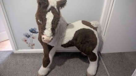 Photo of free Toy horse (Oakengates TF2) #1