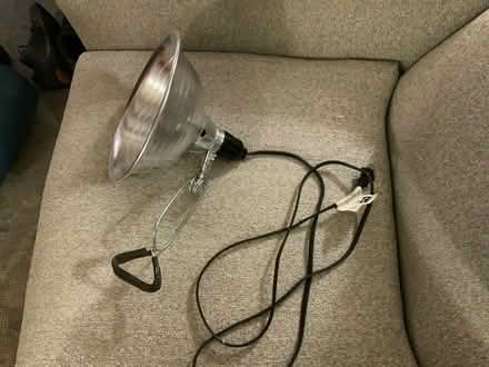 Photo of free Photography light with clamp (West Medford) #1
