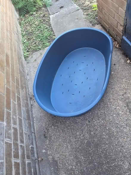 Photo of free large plastic dog bed (Netherfield NG4) #3