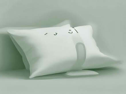 Photo of free 2 good quality soft down pillows (Cotham BS6) #1