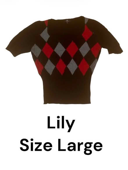 Photo of free Lily Woman’s Top (Brooklyn Storage) #1