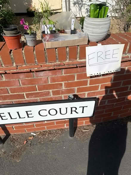 Photo of free Plants, pots, pens etc (CO4 9 Colchester) #1