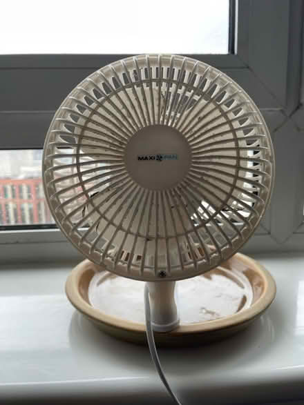 Photo of free Fan (Next to Necropolis) #1