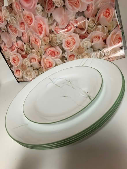 Photo of free Plates (Britannia/Terry Fox) #4