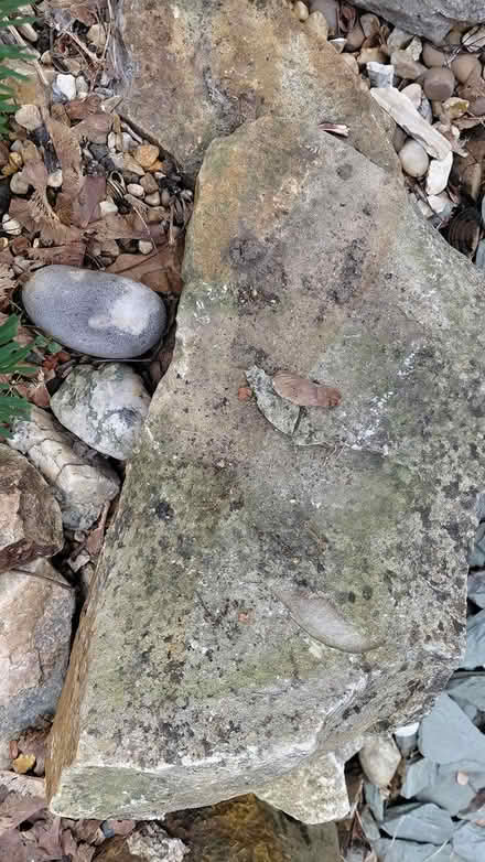 Photo of free Large rockery rocks (Sheffield S12) #4